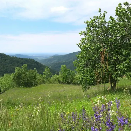Locazione Turistica Casa Cekova